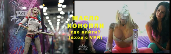 молекула духа Бородино