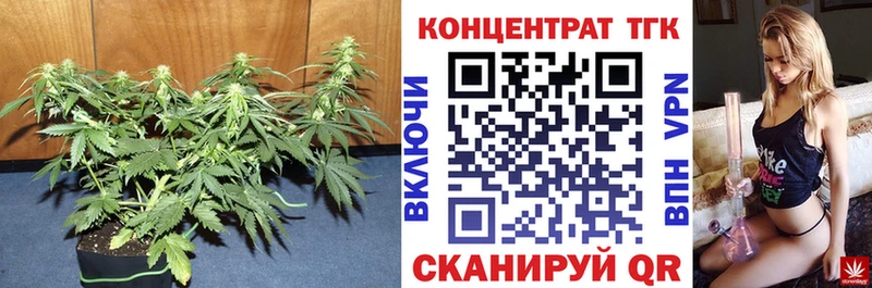 цена наркотик  Верея  ТГК жижа 