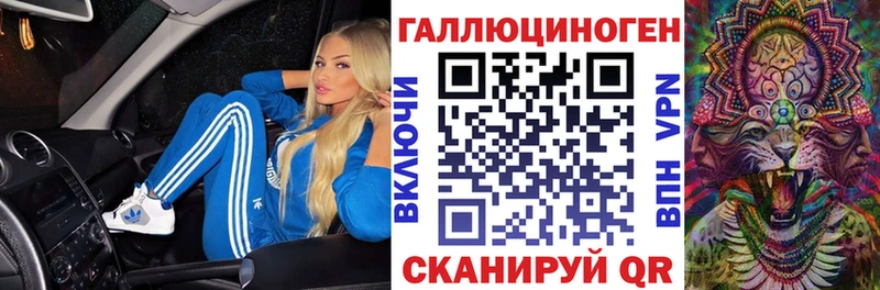 цена   Верея  Галлюциногенные грибы Psilocybine cubensis 